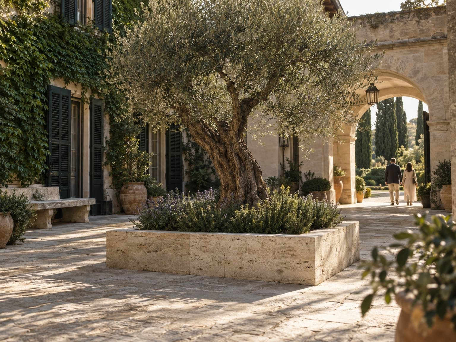 Patio de piedra con un olivo en una jardinera, entre una fachada cubierta de hiedra y un arco de piedra.